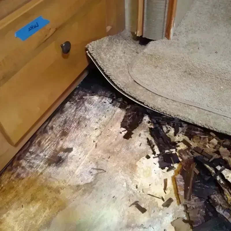 Best Wood Floor Water Damage Service in Highland, NY